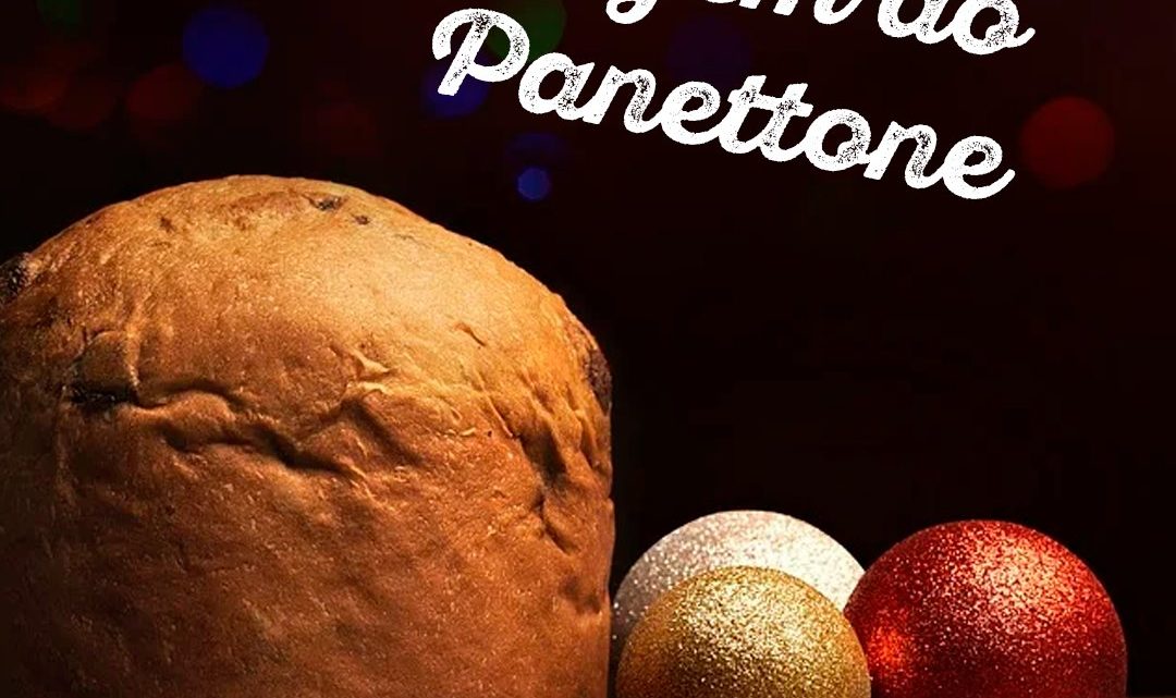 Um dos símbolos do Natal, o Panettone é aquele clássico que não pode faltar nessa época do ano. Mas você sabe como ele surgiu?