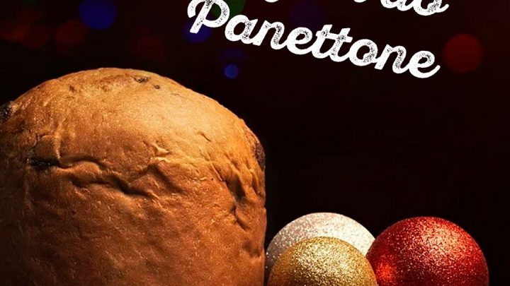 Um dos símbolos do Natal, o Panettone é aquele clássico que não pode faltar nessa época do ano. Mas você sabe como ele surgiu?