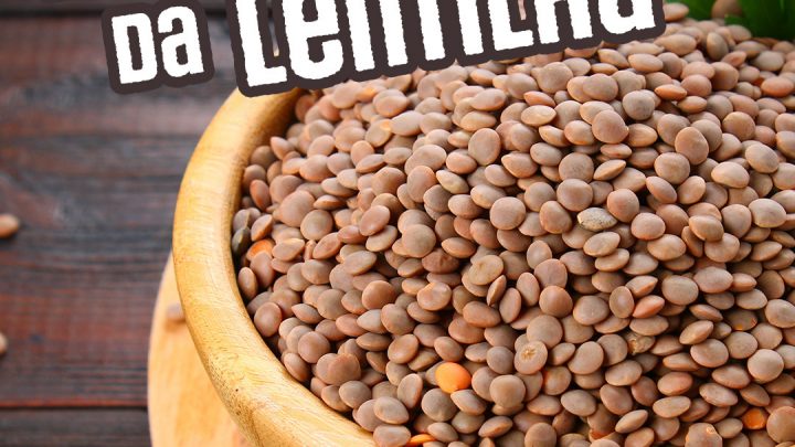 Consumir regularmente lentilha ajuda a deixar o organismo mais saudável e previne alguns problemas de saúde.