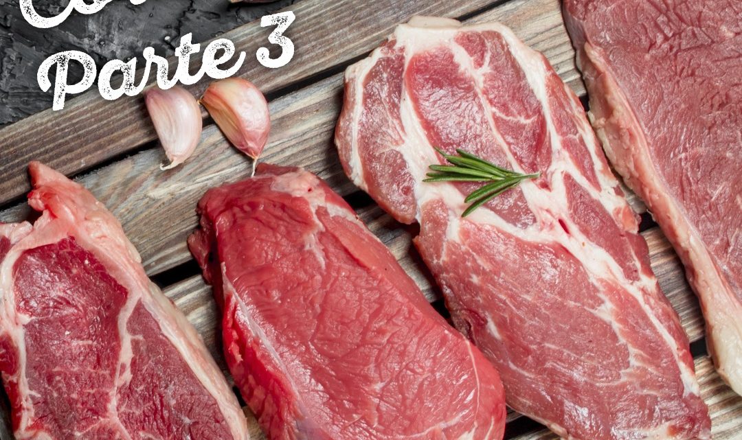 VOCÊ SABE QUAIS SÃO OS TIPOS DE CORTES DE CARNE BOVINA? (Parte 3)