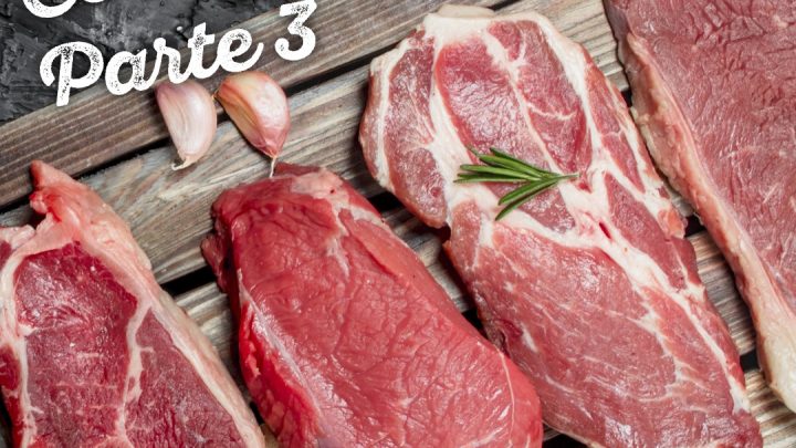 VOCÊ SABE QUAIS SÃO OS TIPOS DE CORTES DE CARNE BOVINA? (Parte 3)