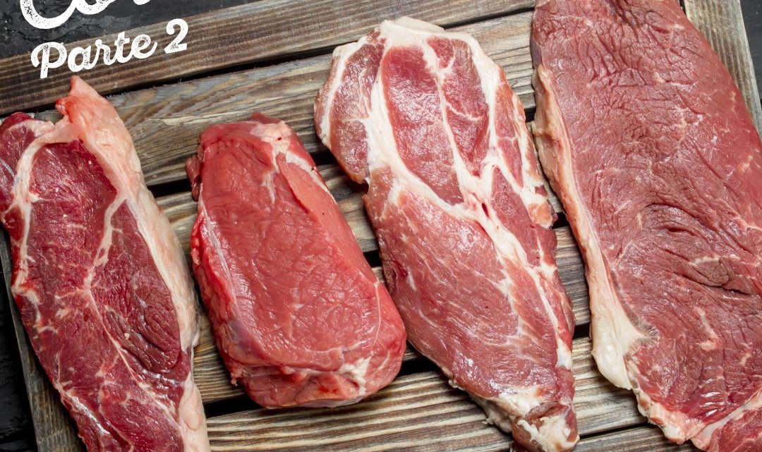 VOCÊ SABE QUAIS SÃO OS TIPOS DE CORTES DE CARNE BOVINA? (Parte 2)