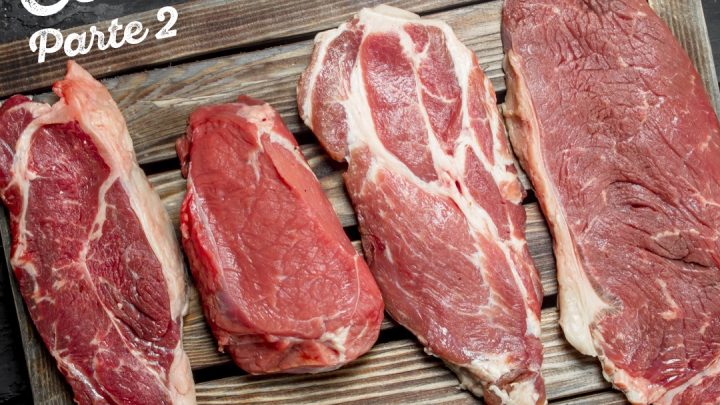 VOCÊ SABE QUAIS SÃO OS TIPOS DE CORTES DE CARNE BOVINA? (Parte 2)