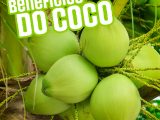 BENEFICIOS DO COCO