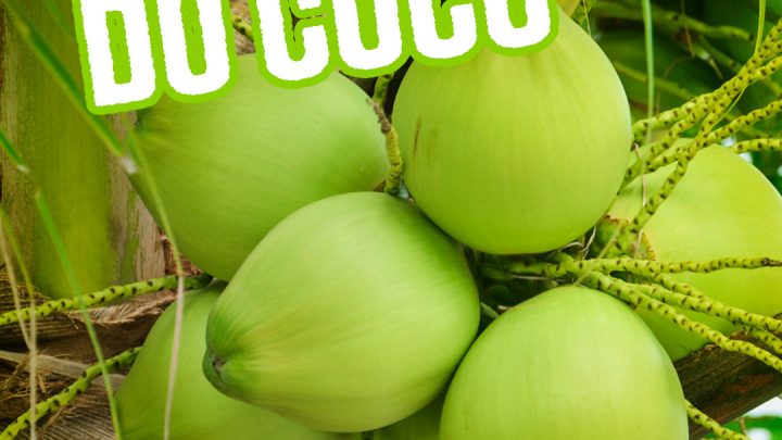 BENEFICIOS DO COCO