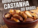BENEFICIOS DA CASTANHA DO BRASIL