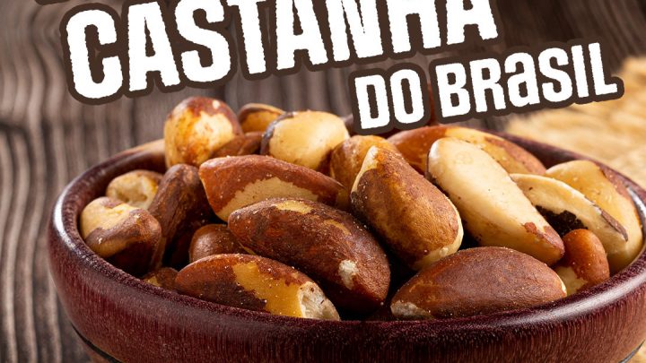 BENEFICIOS DA CASTANHA DO BRASIL